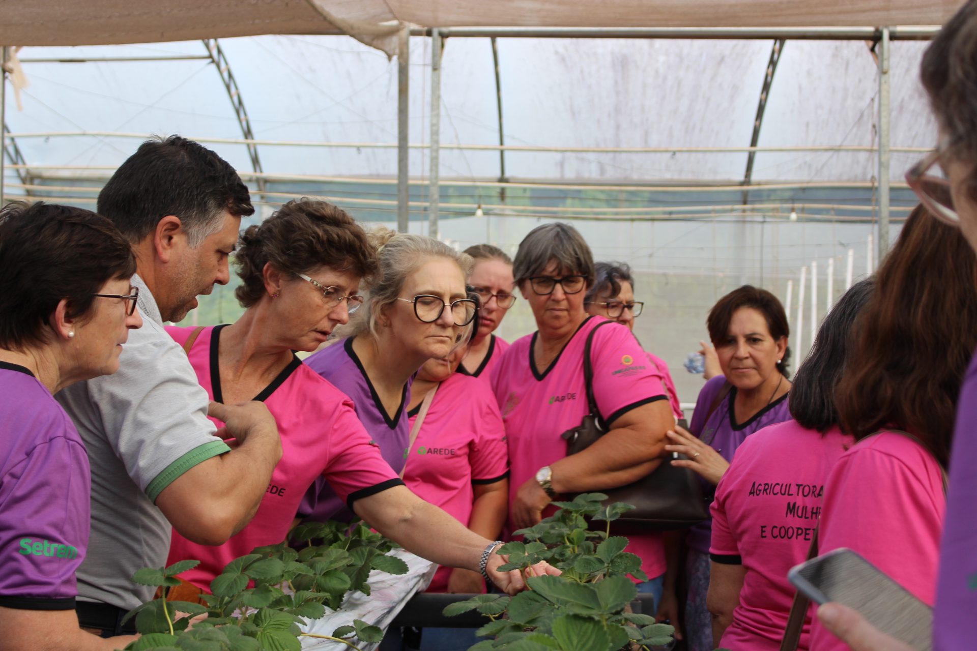 <strong>Agricultoras em Ação: Mulheres e Cooperativismo, um caminho de valor</strong>