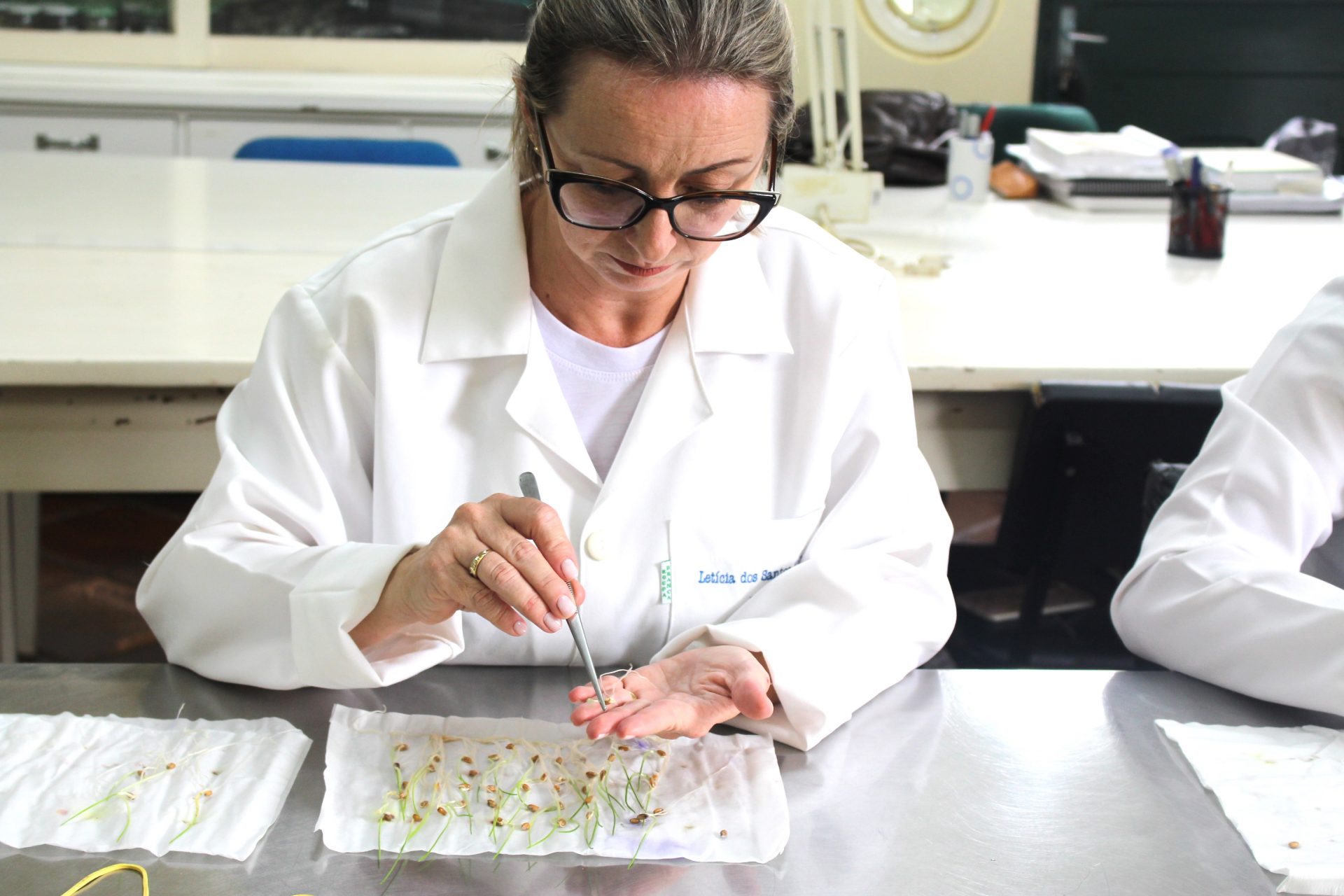 <strong>Laboratório de Análises de Sementes da Setrem atesta conformidade em testes de pureza, DOSN e germinação em comparação com outros 15 laboratórios</strong><strong></strong>