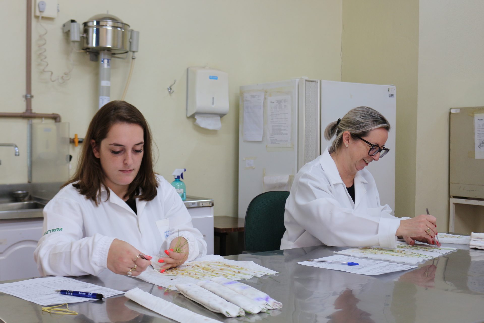 Laboratório de Análises de Sementes da Setrem atesta conformidade em testes em comparação com outros 60 laboratórios