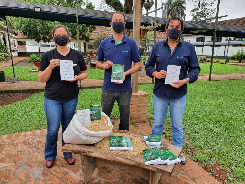 Livro com informações técnicas para a cultura da aveia está disponível