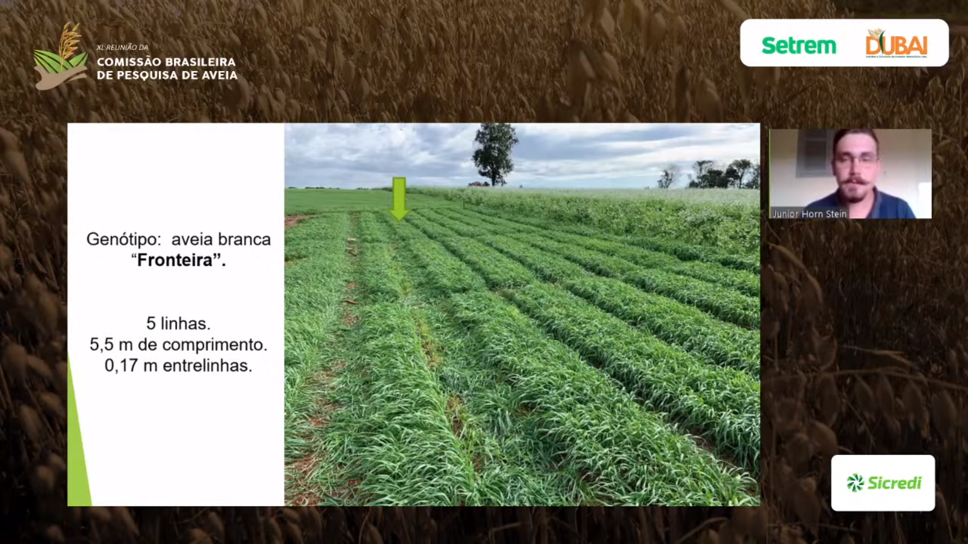 XL RCBPA organizada pela Faculdade de Agronomia foi um sucesso
